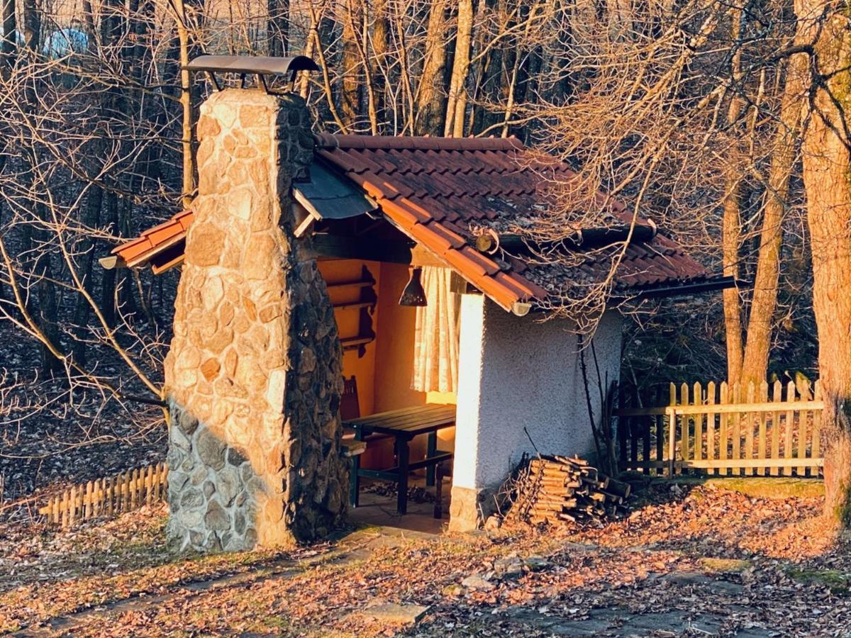 Gartenwohnung Im Gut Sonnenwald Schollnach Exterior photo